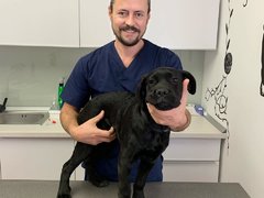 Vietatis - Clinica veterinara