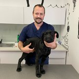 Vietatis - Clinica veterinara